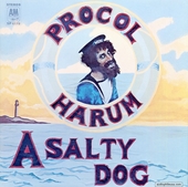 A Salty Dog