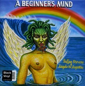 A Beginner's Mind