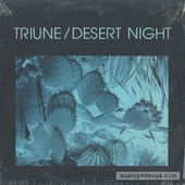 Desert Night