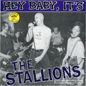 Hey Baby, It's The Stallions