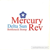 Delta Sun Bottleneck Stomp