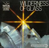 Wilderness Of Glass