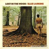 Lost In The Wood