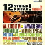 12 String Guitar